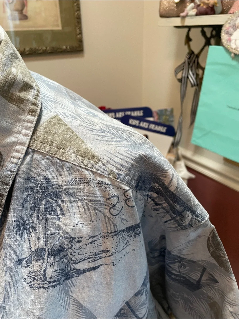Route 66 Men’s Casual Button-Down Shirt in Light Blue and Navy Print